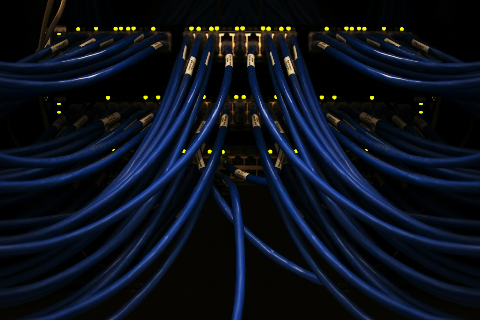 Blue server cables connected together, representing the server infrastructure behind the best web hosting providers in 2026