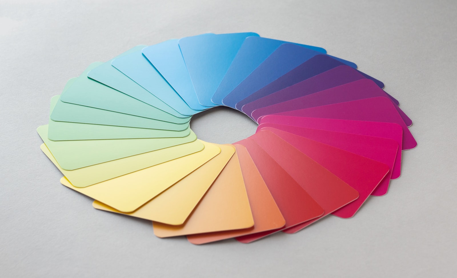 Circle of color swatches on a white surface, representing the design templates offered by the best website builders in 2026