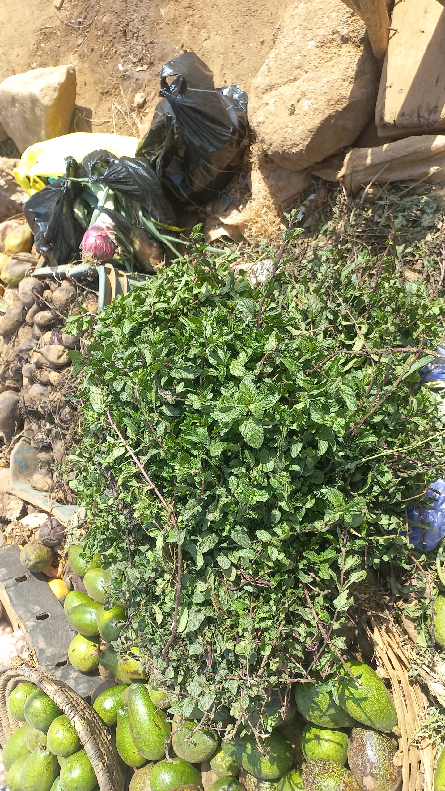 Fresh mint leaves representing the mint flavor used in M&M's Mint Crunchy Cookie