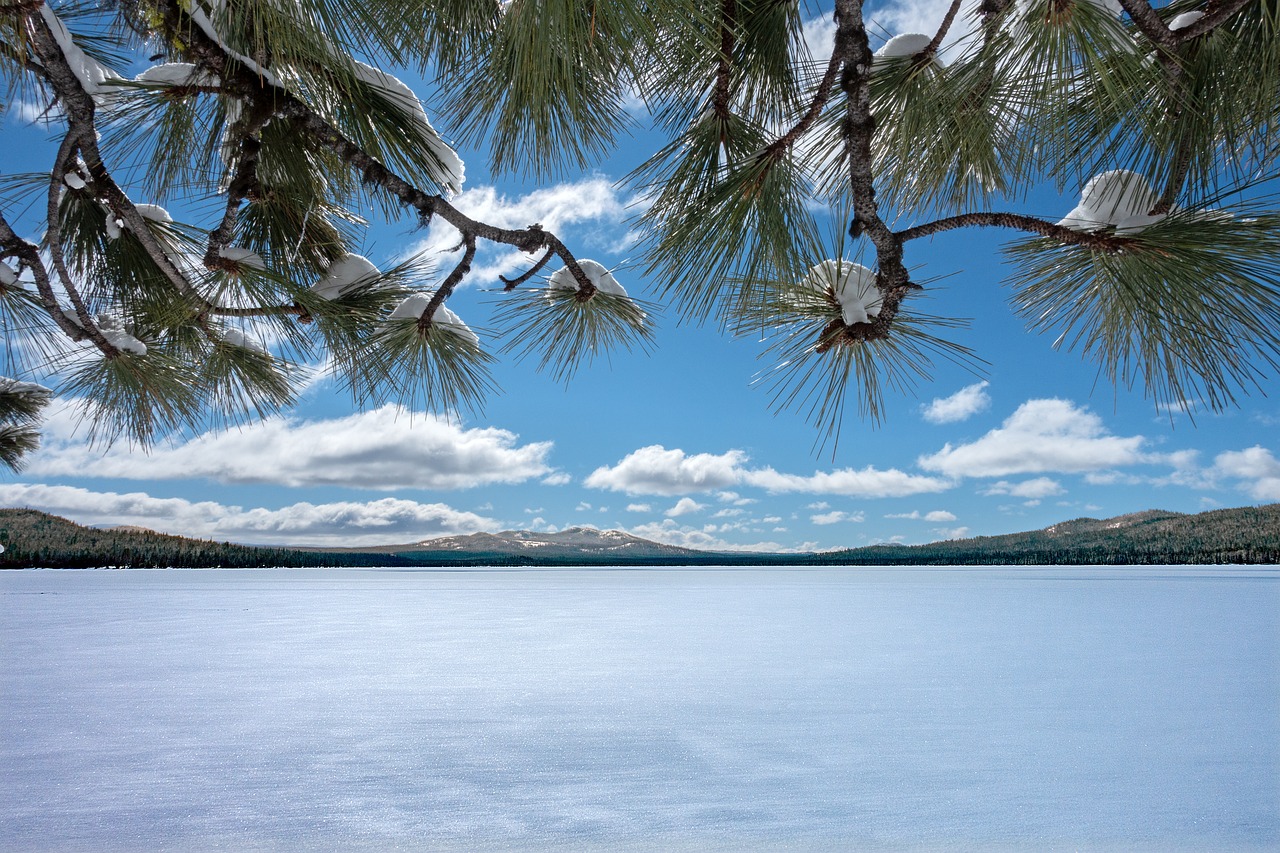 Snow-covered landscape illustrating the Old Farmer's Almanac winter forecast 2026-2027