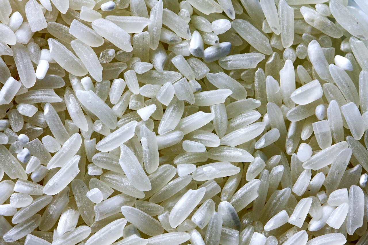 Uncooked white rice closeup for checking UPC and lot codes during the 2026 recall